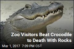 Zoo Visitors Beat Crocodile to Death With Rocks
