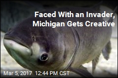 Faced With an Invader, Michigan Gets Creative