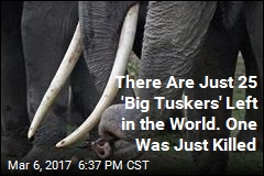 There Are Just 25 &#39;Big Tuskers&#39; Left in the World. One Was Just Killed