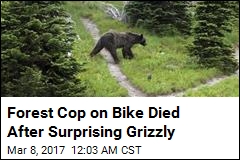 Forest Cop on Bike Killed in &#39;Surprise Encounter&#39; With Bear
