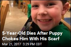 Boy, 5, Fatally Choked by Family Dog Pulling on Scarf