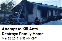 Guy Trying to Kill Ants Burns Down Parents&#39; Home