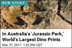 In Australia&#39;s &#39;Jurassic Park,&#39; World&#39;s Largest Dino Prints