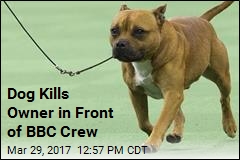 Dog Kills Owner in Front of BBC Crew