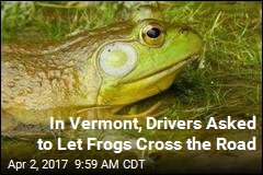 In Vermont, Drivers Asked to Let Frogs Cross the Road