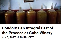 Condoms an Integral Part of the Process at Cuba Winery
