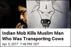 Indian Mob Kills Muslim Man Who Was Transporting Cows
