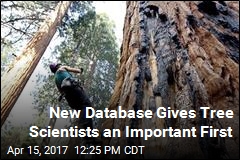 database – News Stories About database - Page 1 | Newser