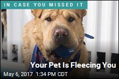 Your Pet Is Fleecing You