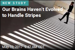 Stripes Appear to Trigger Migraines, Seizures