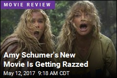 Amy Schumer&#39;s New Movie Is Getting Razzed