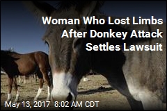 Woman Who Lost Limbs After Donkey Attack Settles Lawsuit