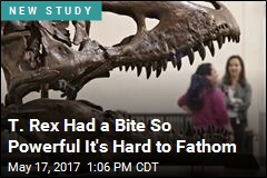 A Bite From T. Rex Brings to Mind a Rocky III Quote