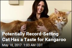 Ridiculously Large Cat May Be World&#39;s Longest