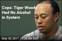 Cops: Tiger Was Asleep at the Wheel on Road