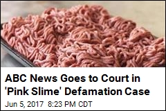 ABC News Goes to Court in &#39;Pink Slime&#39; Defamation Case