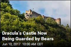 Dracula&#39;s Castle Now Being Guarded by Bears
