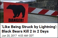 Just 6 Fatal Bear Maulings Since 1880. Then 2 in 2 Days