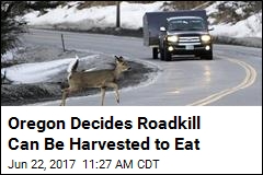 Oregon Decides Motorists Can Eat the Animal They Crash Into