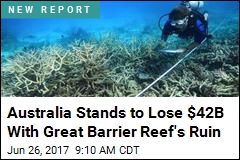 Australia Stands to Lose $42B With Great Barrier Reef&#39;s Ruin