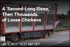 120 Firefighters Chase Chickens After Truck Crash
