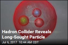 Hadron Collider Reveals Long-Sought Particle
