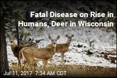 Can Fatal Brain Disease Jump From Deer to Humans?