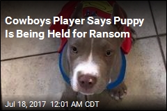 Cowboys Player Says Dognappers Took His Puppy