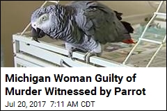Michigan Woman Guilty of Murder Witnessed by Parrot