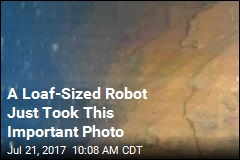 A Loaf-Sized Robot Just Took This Important Photo