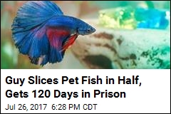 Man Who Sliced Pet Fish in Half Gets 120 Days in Prison