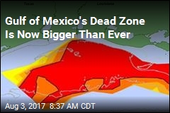Gulf&#39;s of Mexico&#39;s Dead Zone Is Now Planet&#39;s Biggest