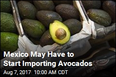 Mexico May Have to Start Importing Avocados