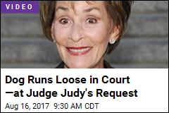 Judge Judy Lets Dog Make Legal Decision for Her