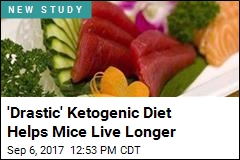 Ketogenic Diets Help Mice Live Longer, but Why?