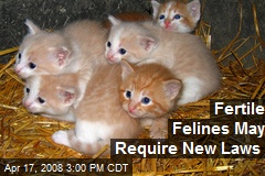 Fertile Felines May Require New Laws