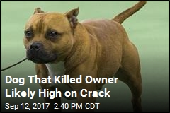 Dog That Killed Owner Likely High on Crack