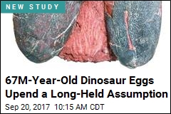 67M-Year-Old Dinosaur Eggs Upend a Long-Held Assumption