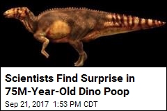 Dino Poop Yields Surprise About Vegetarian Dinosaurs