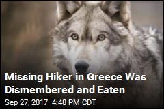 British Hiker Believed Ripped Apart by Wolves in Greece
