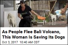 US Woman&#39;s Mission: Save Bali&#39;s Volcano Dogs