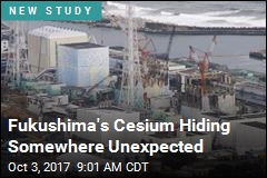 Fukushima&#39;s Cesium Hiding Somewhere Unexpected