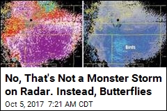 No, That&#39;s Not a Monster Storm on Radar. Instead, Butterflies
