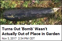 Fears Squashed: Zucchini Mistaken for WWII Bomb