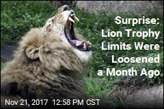 US Already Quietly Loosened Limits on Lion Trophies