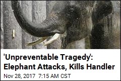 Movie Star Elephant Attacks, Kills Handler in Thailand