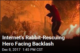 Man Saved Rabbit From Wildfire. Or Did He?