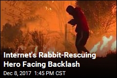 Man Saved Rabbit From Wildfire. Or Did He?