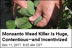 Monsanto Weed Killer Is Huge, Contentious&mdash;and Incentivized