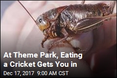 At Theme Park, Eating a Cricket Gets You in